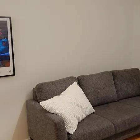 Cozy Renovated Flat In Center Daire *